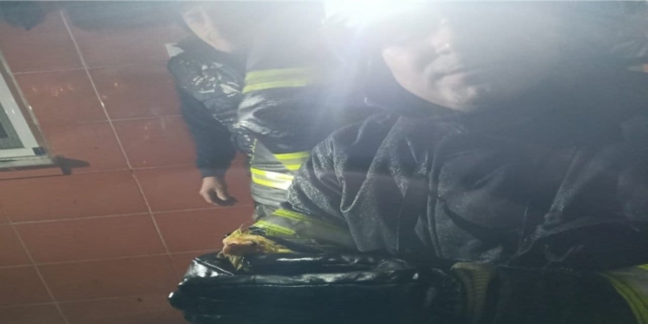 Yangında mahsur kalan papağan için itfaiye operasyonu