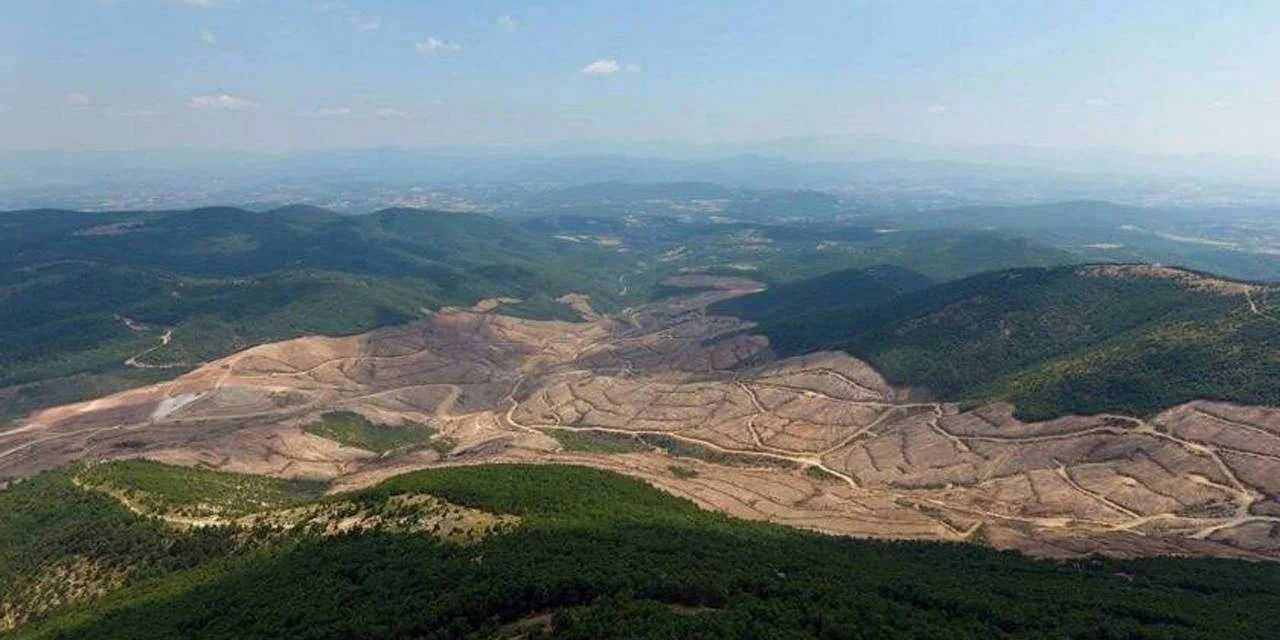 Kazdağlarını dümdüz edip yılın çevrecisi seçildi: Böylesi ancak Türkiye'de olur
