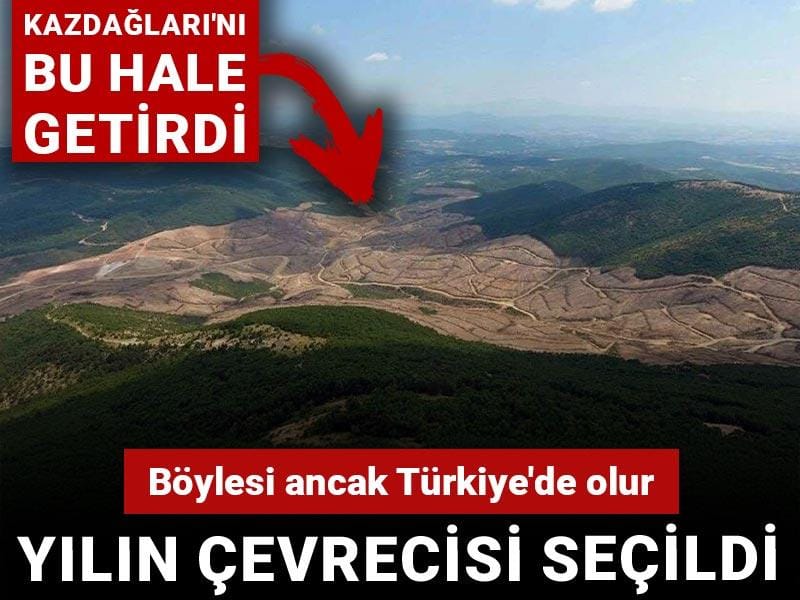 Kazdağlarını dümdüz edip yılın çevrecisi seçildi: Böylesi ancak Türkiye'de olur