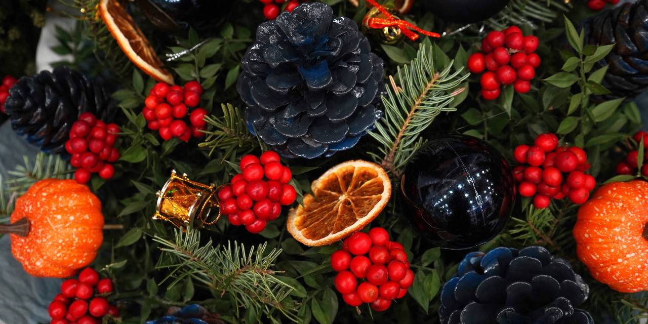 500 liradan satılıyor efsaneye göre ev sahibi yapıyor! Kapış kapış gidiyor