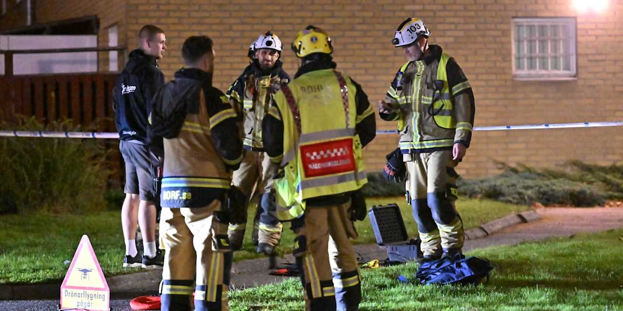 Süper Mario'dan emir alıp bomba attılar: İlk saldırıları da başarısız olmuş