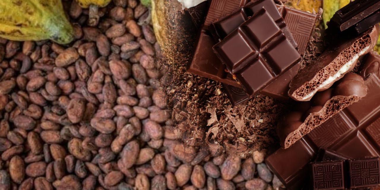 Kakao fiyatları düşüşe geçti ama çikolatalar hala ateş pahası! Raflardaki fiyatlar ne zaman düşecek? İşte detaylar...