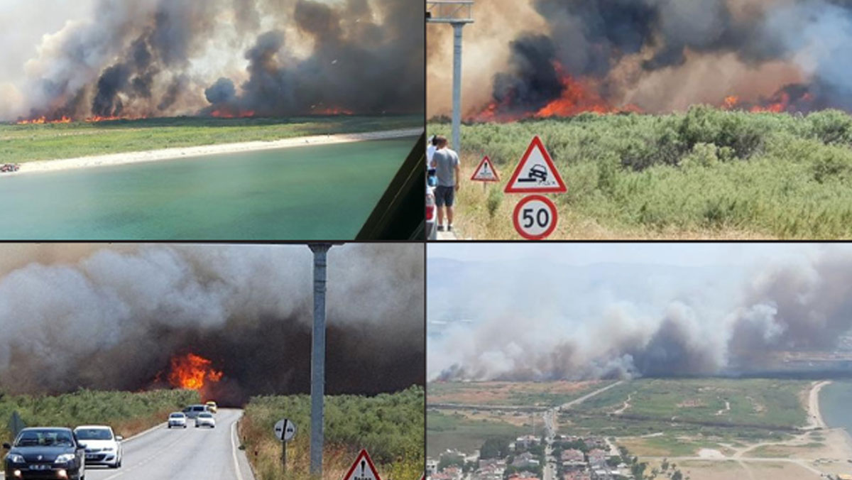 Bir yangın da Edremit'te: 50 hektarlık alan kül oldu