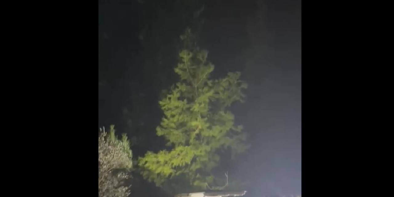 Kayıp olarak aranan 2 kişi mezarlıkta boğazları kesilmiş halde ölü bulundu!