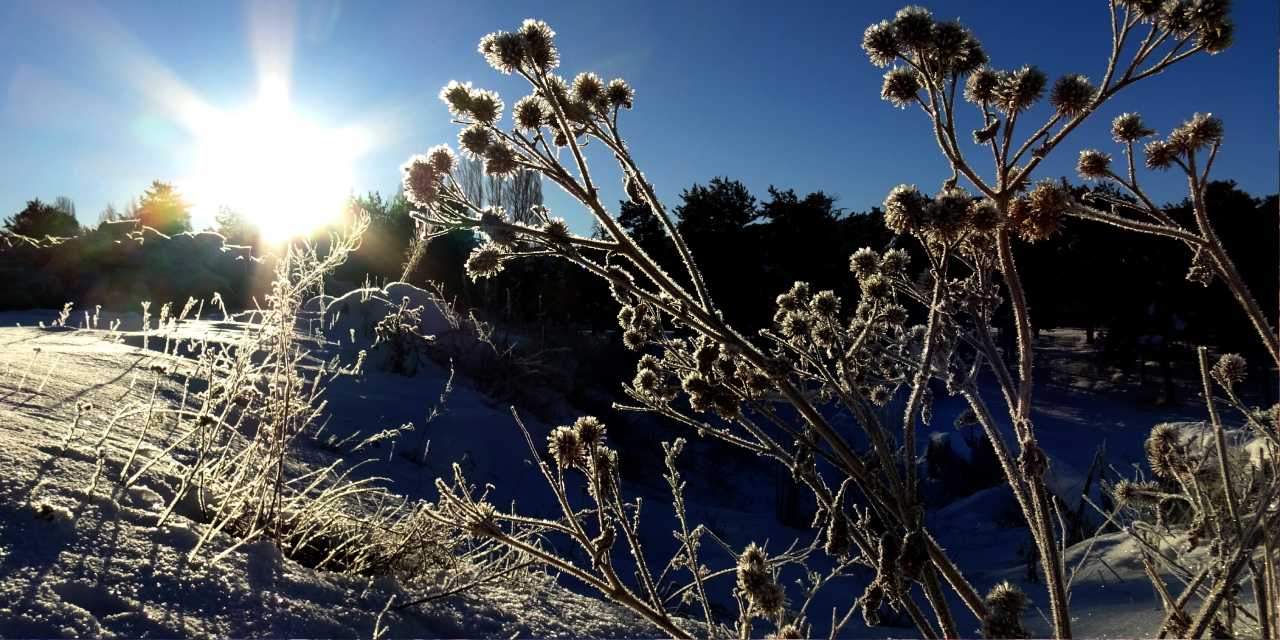 Termometreler -14’ü gördü: Dereler buz tuttu