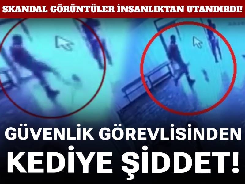 Skandal görüntüler insanlıktan utandırdı! Güvenlik görevlisinden kediye şiddet