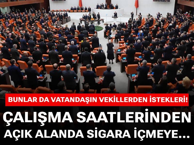 Bunlar da vatandaşın vekillerden istekleri: Çalışma saatlerinden açık alanda sigara içmeye...