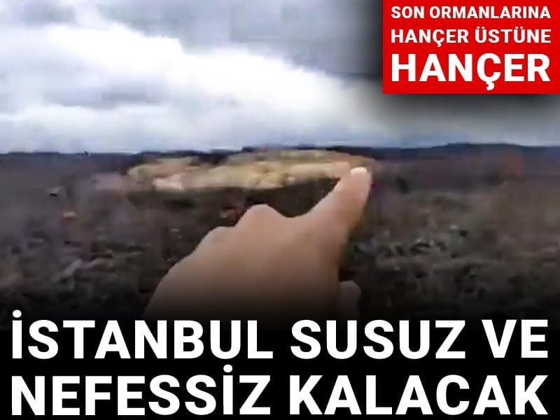 İstanbul susuz ve nefessiz kalacak! Son ormanlarına hançer üstüne hançer