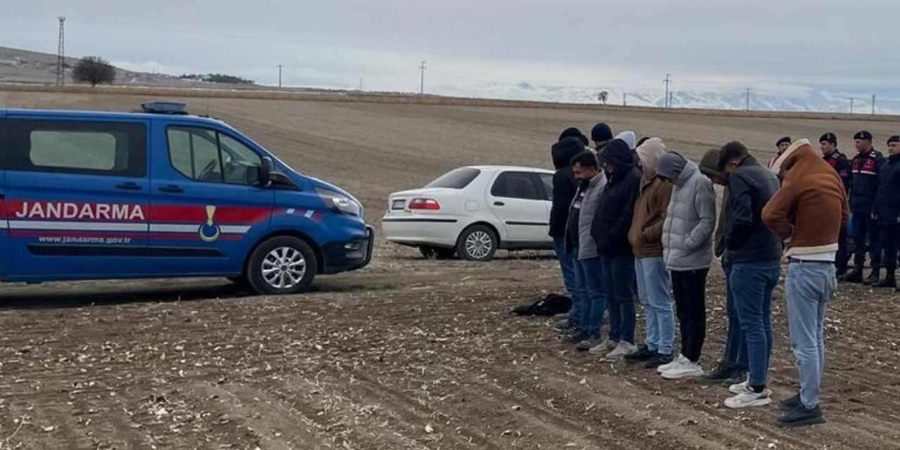 'Köpek dövüştürecekler' ihbarı ekipleri alarma geçirdi: 19 kişi yakalandı