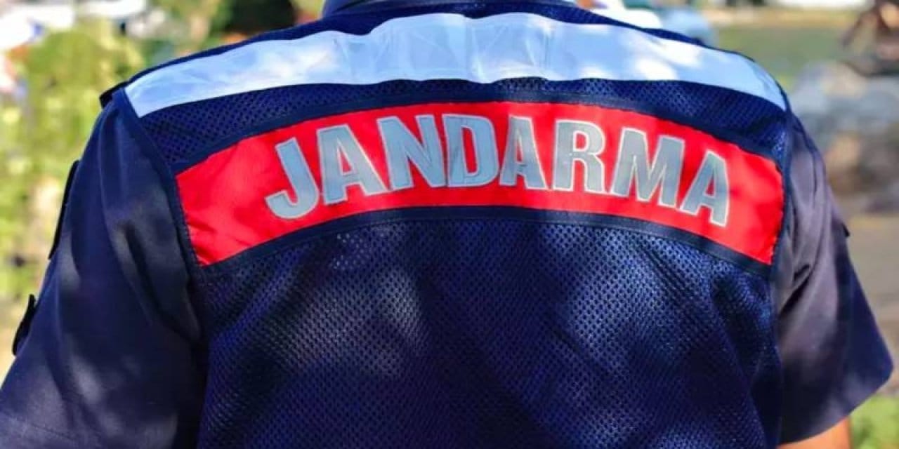 Artvin'de bitki kaçakçılığına 557 bin lira ceza