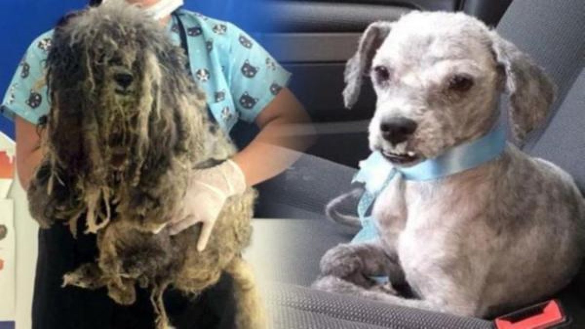 Tıraş olduktan sonra 3.5 kilo verdi!