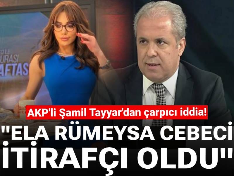 AKP'li Şamil Tayyar'dan çarpıcı iddia: Ela Rümeysa Cebeci itirafçı oldu