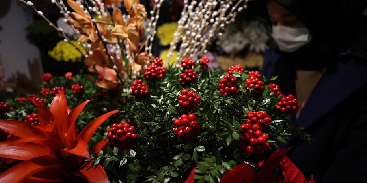 Kokina çiçeği nasıl yapılır?