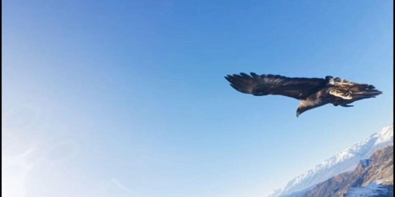 Kartalın kaçırdığı dron 6 saatlik operasyonla kurtarıldı