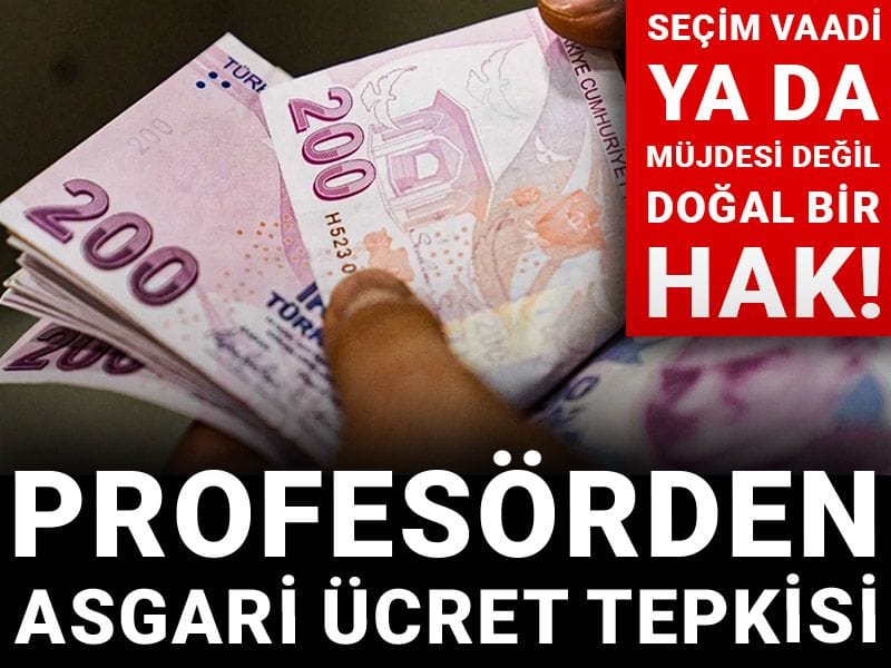 Profesörden asgari ücret tepkisi: Seçim vaadi ya da müjdesi değil doğal bir hak!