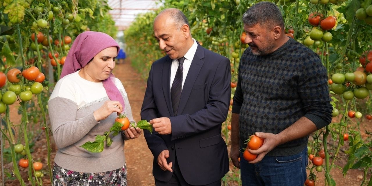 Güvenli gıda için harekete geçtiler: ŞOK Marketler pestisit testi başlatıyor!