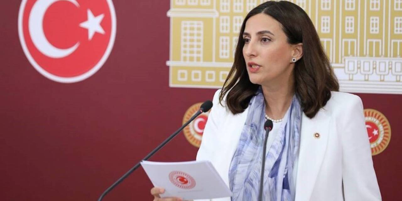 CHP'li Rızvanoğlu'ndan tepki: 11 ilde bazı alanlar orman vasfını kaybetti!