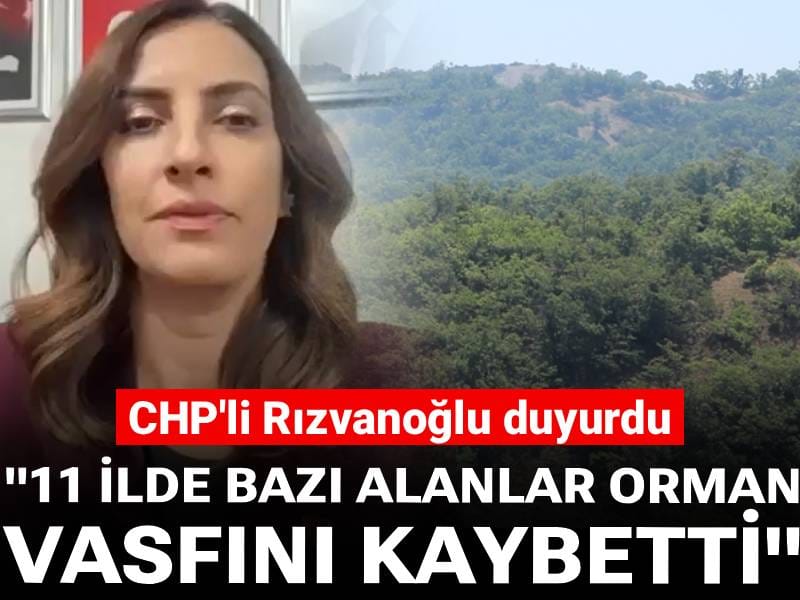 CHP'li Rızvanoğlu'ndan tepki: 11 ilde bazı alanlar orman vasfını kaybetti!