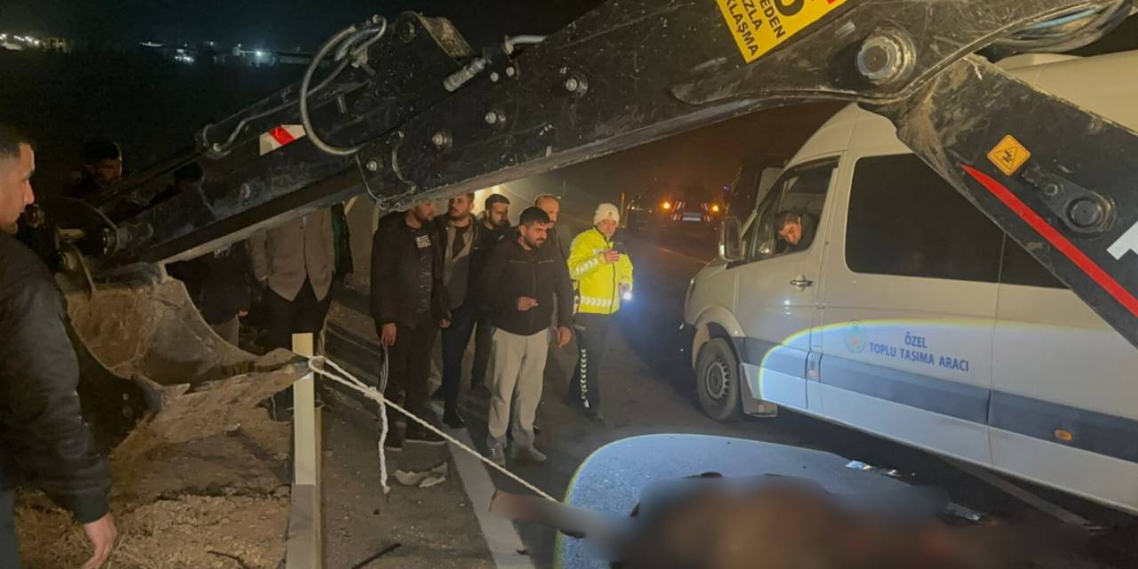 İşletmeden kaçan yarış atları karayoluna çıktı: Kazaya neden olan 6 tay öldü!