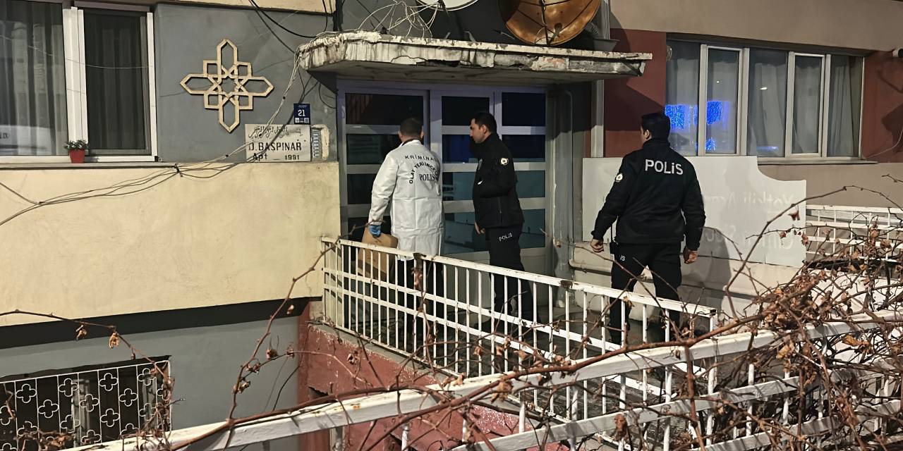 Gece yarısı aile faciası: Ağabeyini öldürdü