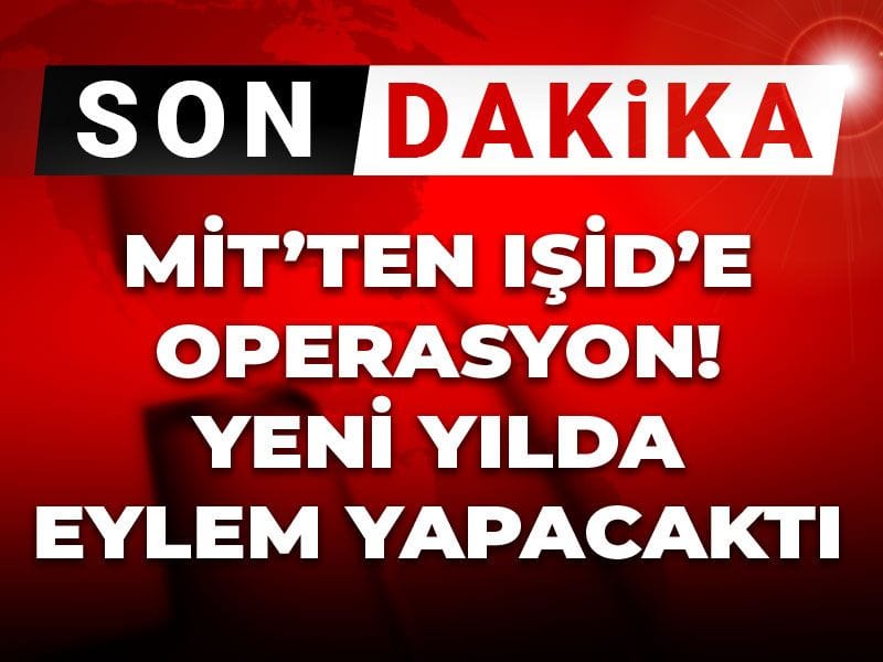 Son dakika | MİT'ten IŞİD'e operasyon: Yılbaşında terör saldırısı yapacaktı