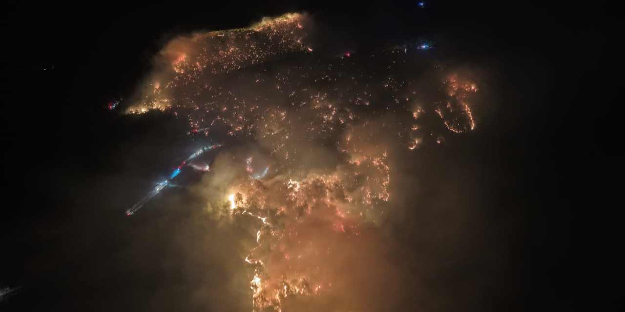 Egenin ormanları 459 noktada alev alev yanmış!