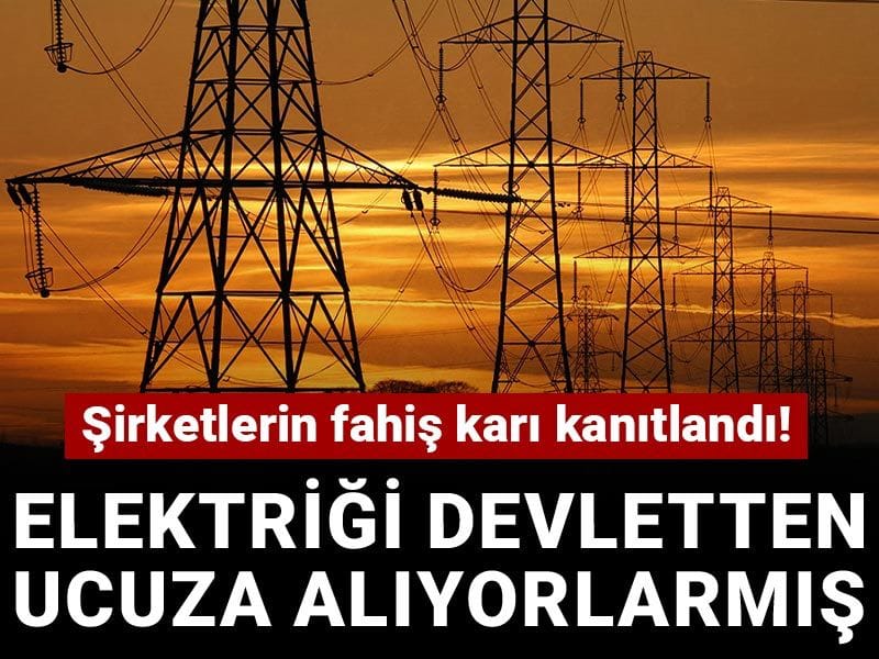 Şirketlerin fahiş karı kanıtlandı! Elektriği devletten ucuza alıyorlarmış