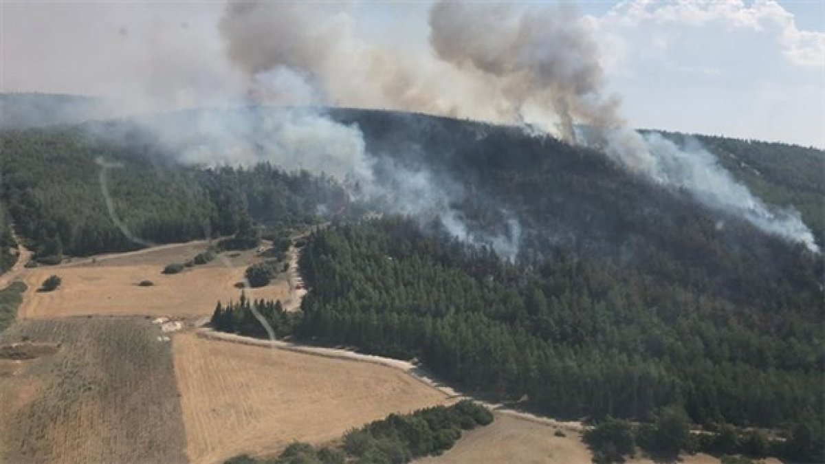 İzmir Büyükşehir Belediyesinden üzücü 'orman yangını' açıklaması