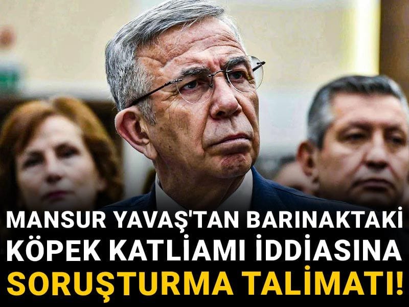 Mansur Yavaş'tan barınaktaki köpek katliamı iddiasına soruşturma talimatı!