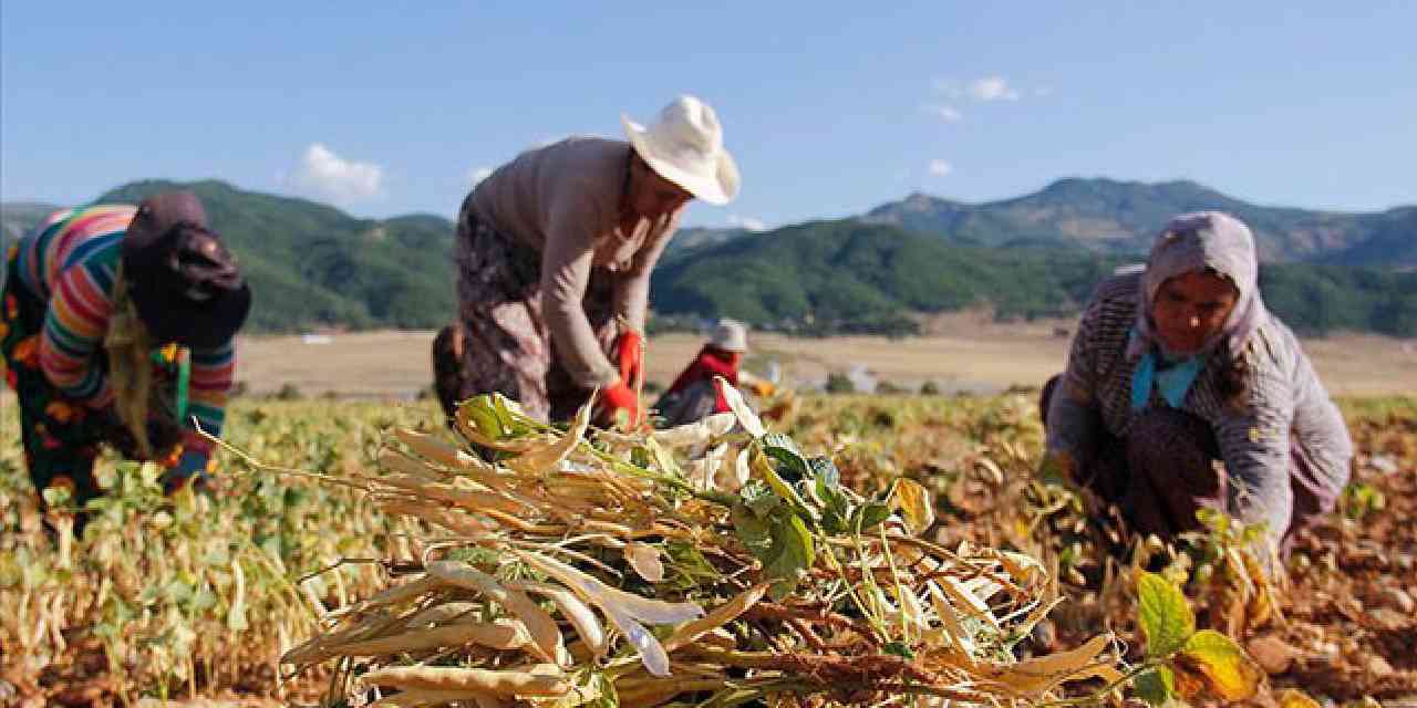 Hesabınızı hemen kontrol edin: Ödemeler yatmaya başladı!