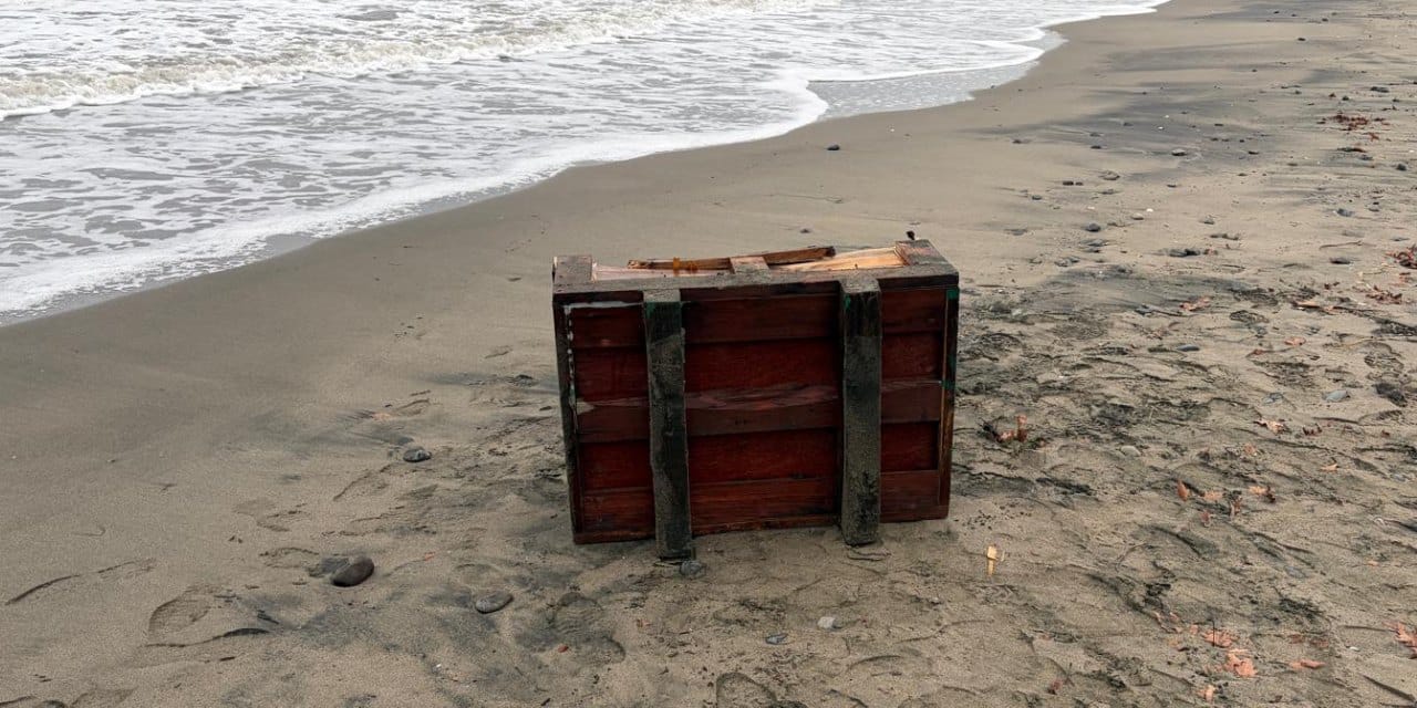 Samsun'da sahile vuran sandık ekipleri harekete geçirdi