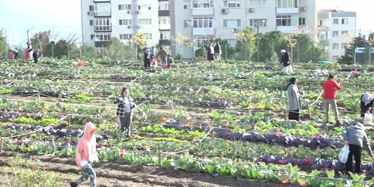 CHP'den kent bostanları için çağrı: Yoksulluk için en büyük dayanışmadır
