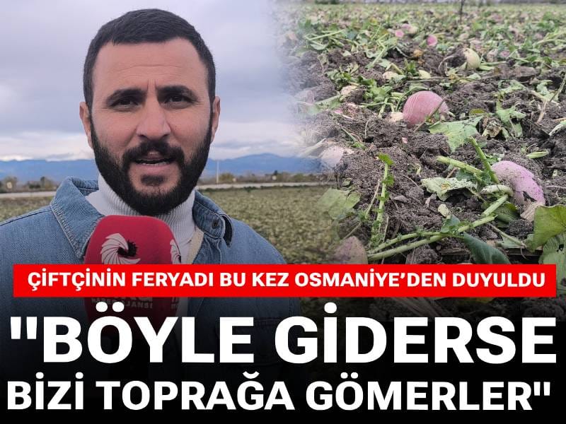 Çiftçinin feryadı bu kez Osmaniye’den duyuldu: Böyle giderse bizi toprağa gömerler