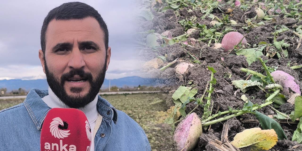 Çiftçinin feryadı bu kez Osmaniye’den duyuldu: Böyle giderse bizi toprağa gömerler