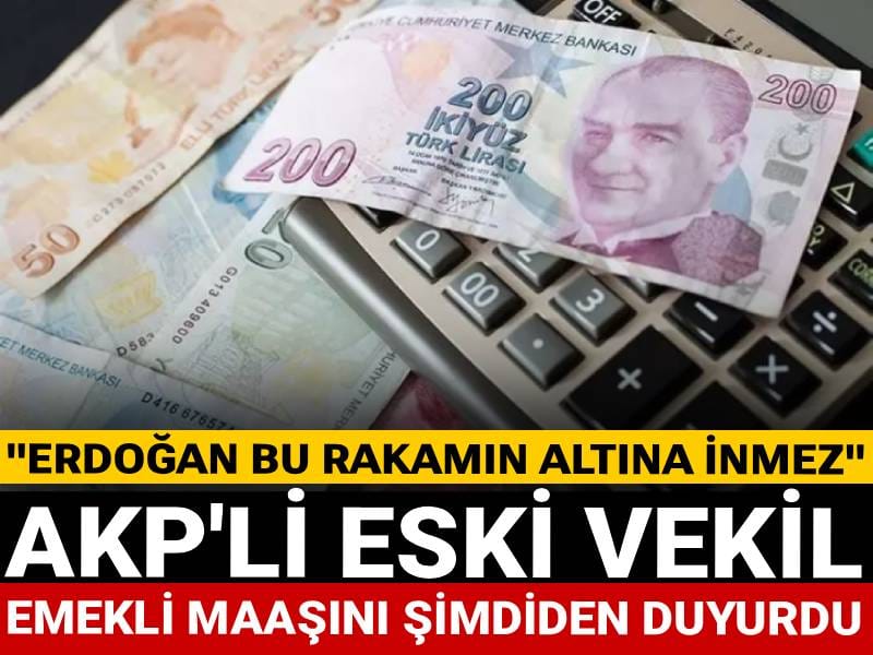 AKP'li eski vekil emekli maaşını şimdiden duyurdu: Erdoğan bu rakamın altına inmez