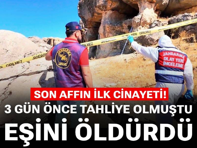 Son affın ilk cinayeti! 3 gün önce tahliye olmuştu eşini öldürdü