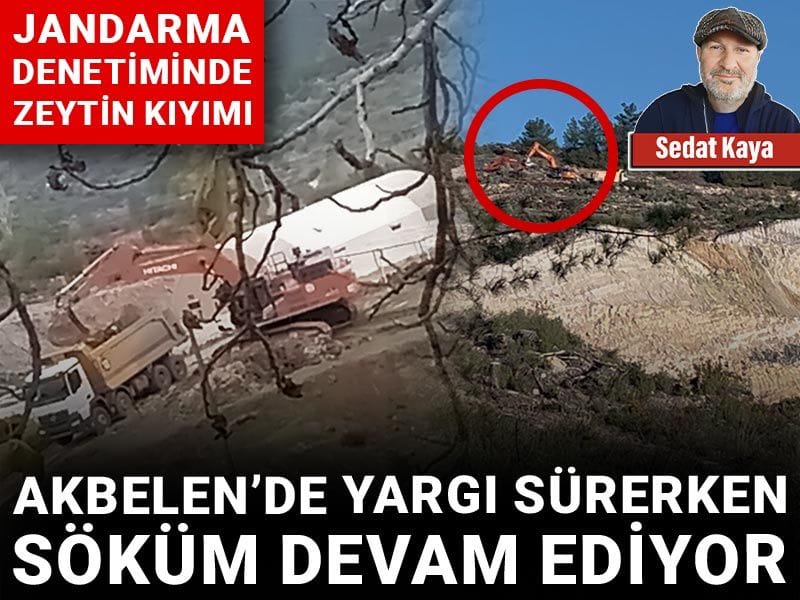 Akbelen’de yargı sürerken söküm devam ediyor: Jandarma denetiminde zeytin kıyımı!