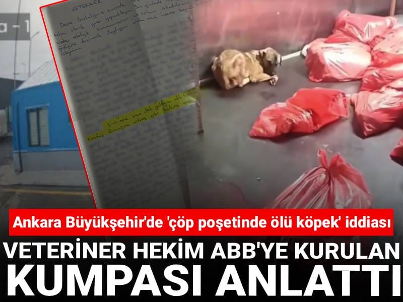 Ankara Büyükşehir'de 'çöp poşetinde ölü köpek' iddiası! Veteriner hekim ABB'ye kurulan kumpası anlattı