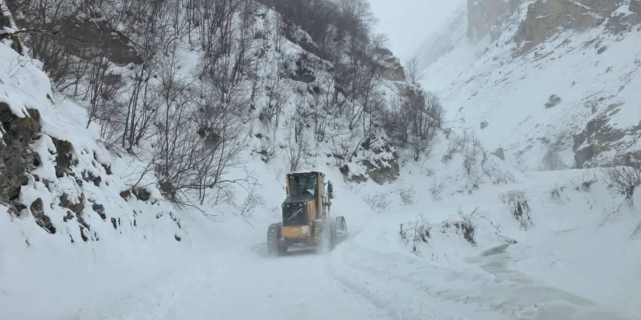 Son dakika | Artvin'de çığ düştü!