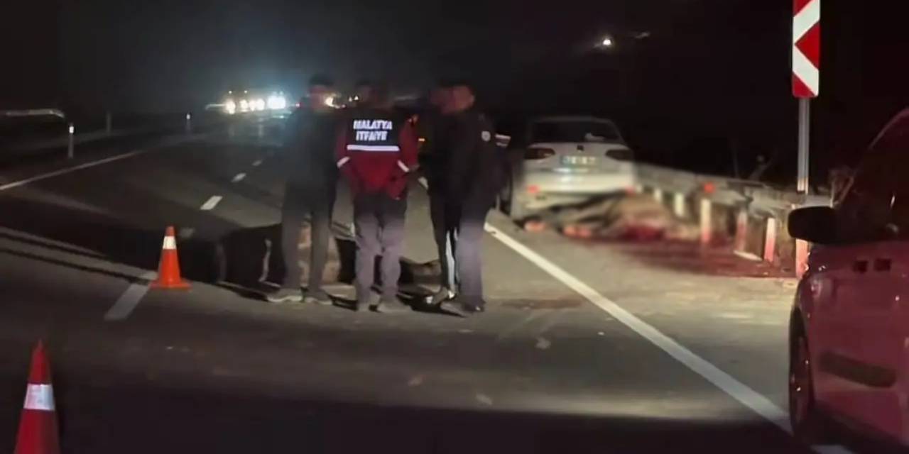 TİGEM'de milyonluk tay skandalı! Padoktan kaçtılar: Yolda can verdiler!