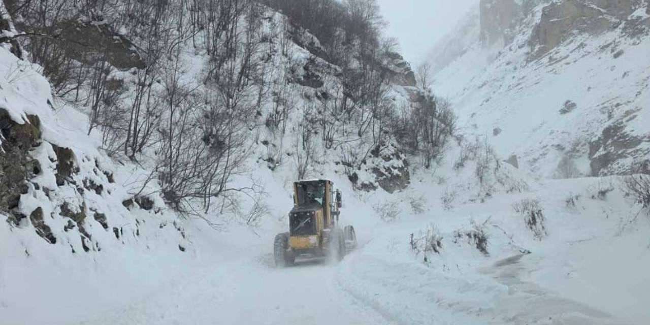 Son dakika! Artvin'de çığ felaketi! 3 Çobandan birinin cansız bedenine ulaşıldı