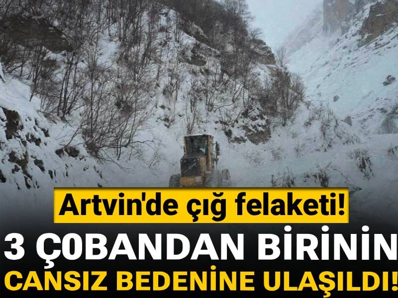 Son dakika! Artvin'de çığ felaketi! 3 Çobandan birinin cansız bedenine ulaşıldı