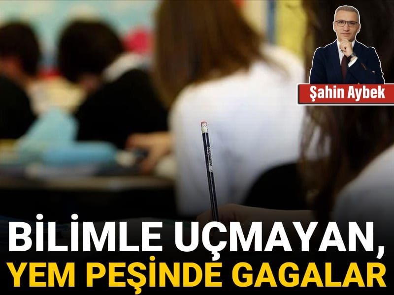 Bilimle Uçmayan, Yem Peşinde Gagalar
