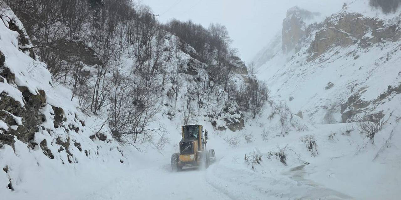 Artvin'de çığ altında kalan çobanı arama çalışmaları üçüncü gününde