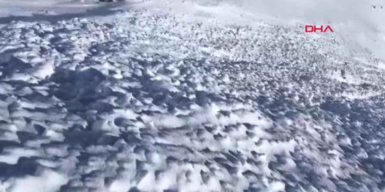 Çığ felaketi ahırı vurdu: 44 hayvan öldü