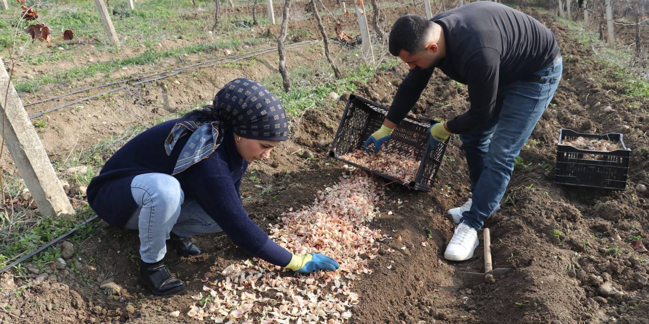 Tekstili bıraktı toprağa döndü: Adana’dan Hollanda’ya ihraç etmeye başladı