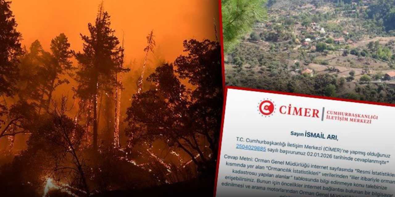 Orman vasfını yitiren alanları sordu: CİMER'den gelen 'dalga geçer gibi' yanıt pes dedirtti