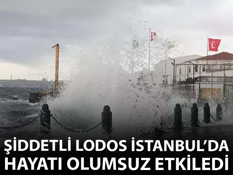 İstanbul’da şiddetli lodos ağaçları devirdi, araçlar zarar gördü
