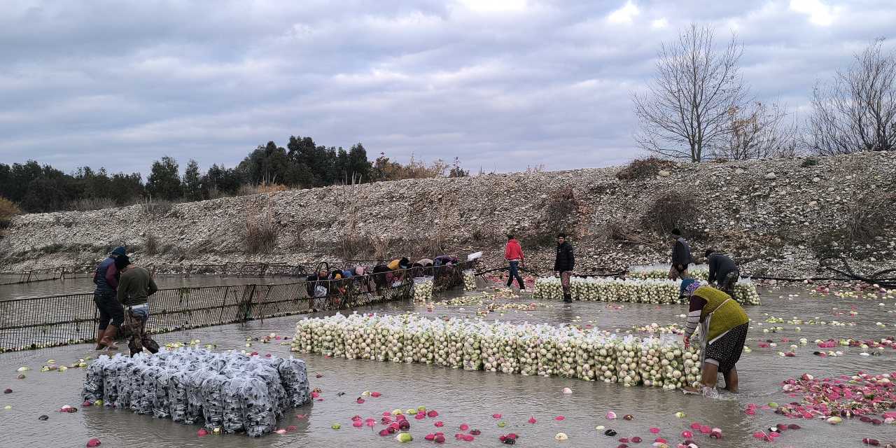 Kilosu 30 kuruşa kadar düştü: Daha önce hiç bu fiyata satmadık