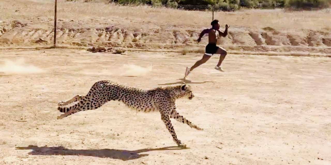 Dünyaca ünlü yayıncı IShowSpeed çitayla yarıştı